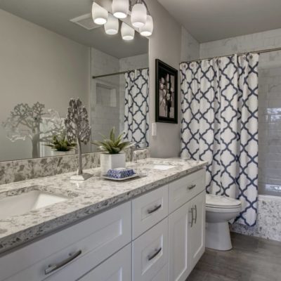 Bath Remodel (3)