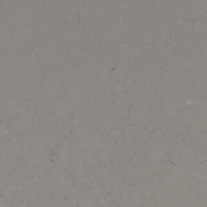 fossil-gray-quartz (1)